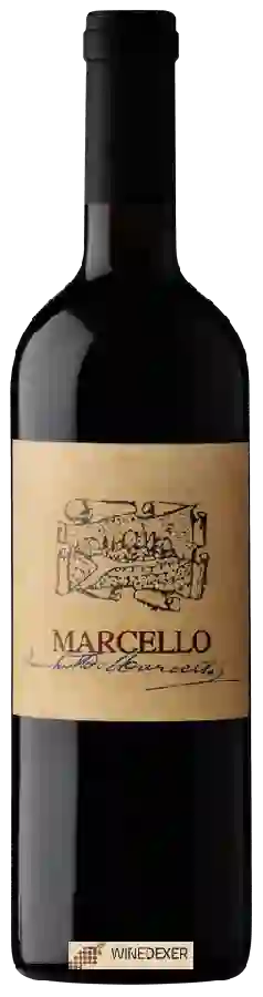 Domaine Lucchetta - Rosso