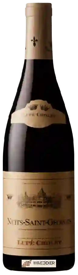 Domaine Lupé-Cholet - Nuits-Saint-Georges