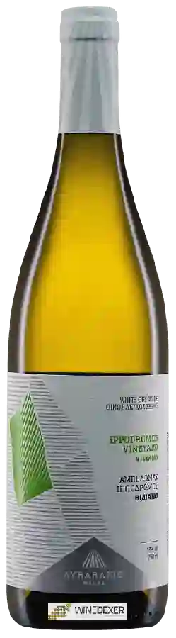 Domaine Lyrarakis - Vidiano Ipodromos Vineyard