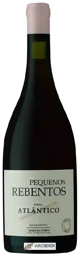 Domaine Marcio Lopes - Pequenos Rebentos Atlantico Tinto