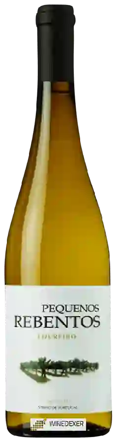 Domaine Marcio Lopes - Pequenos Rebentos Loureiro