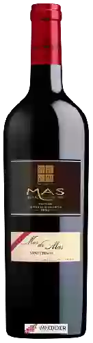 Domaine Mas des Mas - Saint Chinian