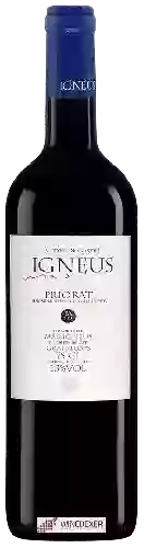 Domaine Mas Igneus - Vinyes de Coster FA 112