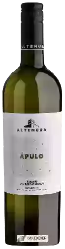 Domaine Masseria Altemura - Àpulo Bianco Salento (Fiano - Chardonnay - Falanghina)