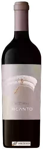 Domaine Medi Valley - Incanto Single Vineyard Merlot