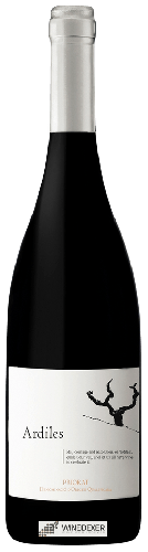 Domaine Merum Priorati - Ardiles