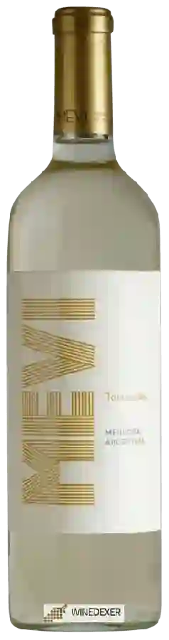 Domaine Mevi - Torrontés