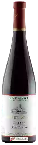 Domaine Meyer-Fonné - Gallus Pinot Noir