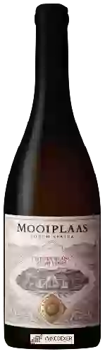 Domaine Mooiplaas Wine Estate - Bush Vines Chenin Blanc