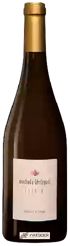 Domaine Muchada-Léclapart - Elixir