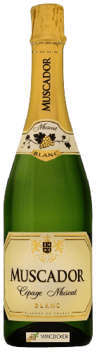 Winery Muscador - Cépage Muscat Blanc Winery Muscador - Cépage Muscat Blanc