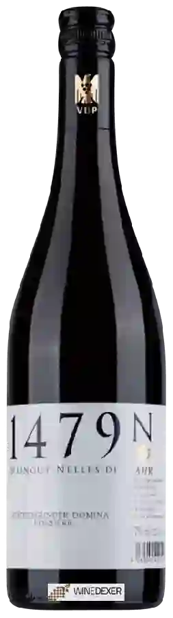 Domaine Weingut Nelles 1479 - Spätburgunder - Domina Feinherb