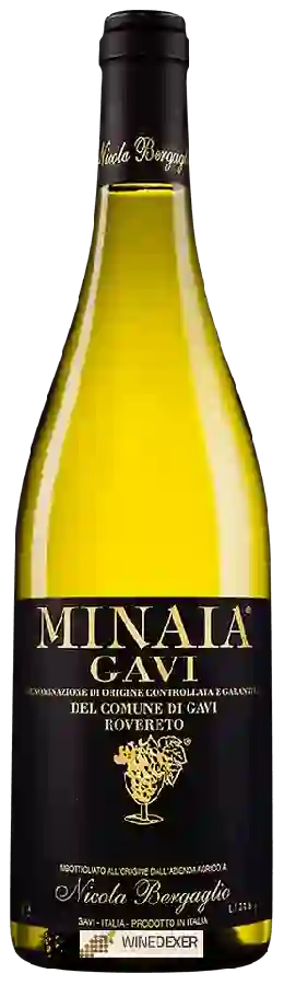 Domaine Nicola Bergaglio - Minaia Gavi del Comune di Gavi Rovereto