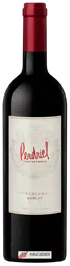 Domaine Norton - Finca Perdriel Series Merlot