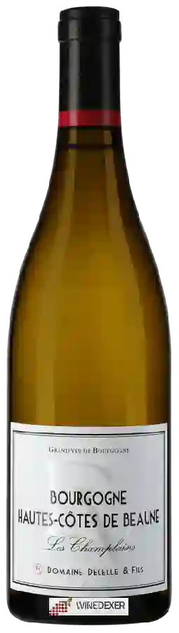 Domaine Olivier Decelle - Bourgogne Hautes-Côtes de Beaune Blanc 'Les Champlains' Domaine Olivier Decelle - Bourgogne Hautes-Côtes de Beaune Blanc 'Les Champlains'