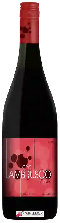 Domaine Opici - Lambrusco
