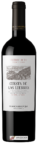 Winery Pago de Carraovejas - Cuesta de Las Liebres