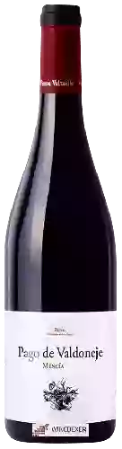 Domaine Vinos Valtuille Domaine Vinos Valtuille