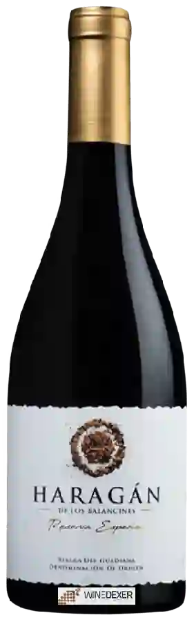 Domaine Pago Los Balancines - Haragán Reserva Especial Domaine Pago Los Balancines - Haragán Reserva Especial