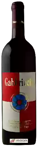 Winery Pakravan Papi - Gabbriccio