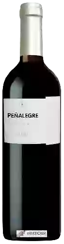 Winery Peñalegre - Toro