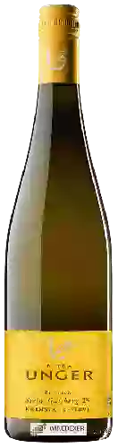 Domaine Petra Unger - Riesling Stein Gaisberg Reserve