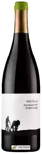 Domaine Weingut Pflüger - Fronhof R Pinot Noir