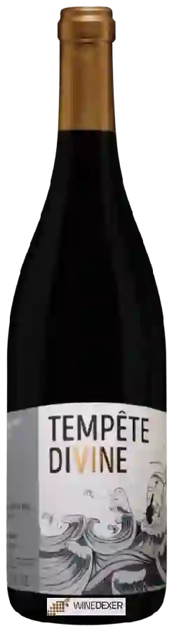 Domaine Philippe Dupond - Tempête Divine