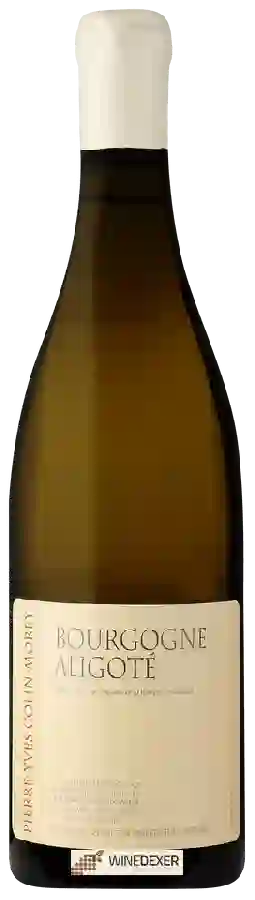 Domaine Pierre-Yves Colin-Morey - Bourgogne Aligoté
