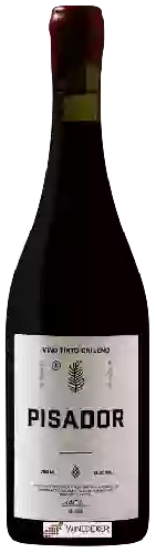 Domaine Pisador