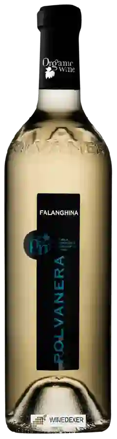 Domaine Polvanera - Falanghina Domaine Polvanera - Falanghina