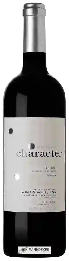 Domaine Wine & Soul - Douro Pintas Character Tinto