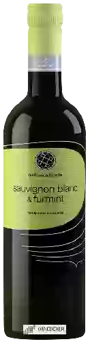Domaine Puklavec & Friends - Sauvignon Blanc - Furmint