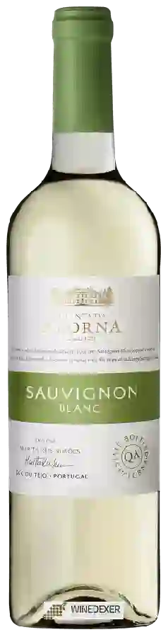 Domaine Quinta da Alorna - Sauvignon Blanc