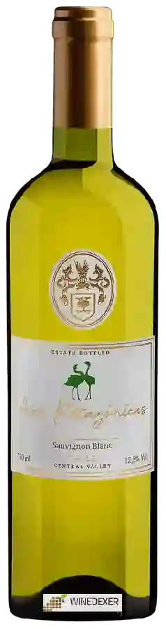 Domaine Ravanal - Aves Patagónicas Sauvignon Blanc