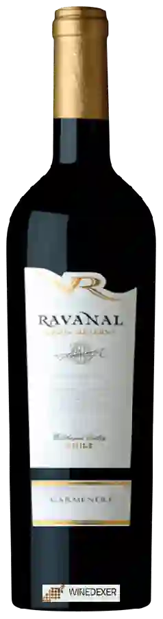 Domaine Ravanal - Gran Reserva Carmenère