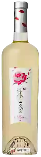 Domaine Rose Infinie Domaine Rose Infinie