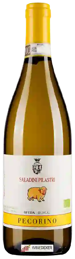Domaine Saladini Pilastri - Pecorino Offida