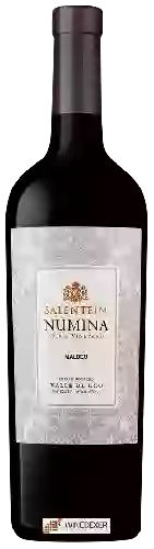 Domaine Salentein - Numina Malbec