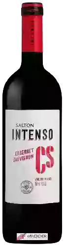 Domaine Salton - Intenso Cabernet Sauvignon