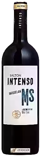 Winery Salton - Intenso Marselan