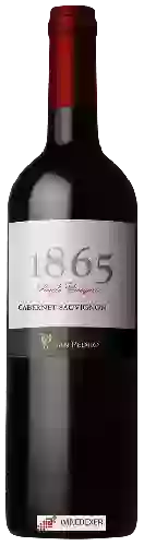 Domaine San Pedro - 1865 Single Vineyard Cabernet Sauvignon