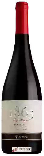 Domaine San Pedro - 1865 Single Vineyard Pinot Noir