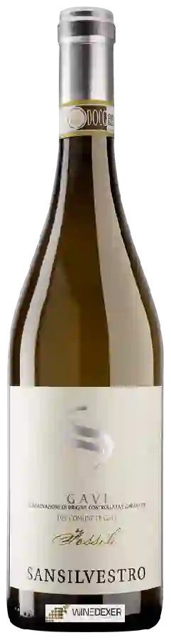Domaine San Silvestro - Fossili Gavi del Comune di Gavi