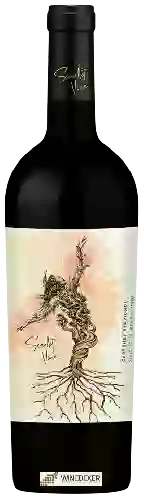 Domaine Scarlet Vine - Selected Hillside Vineyards Cabernet Sauvignon