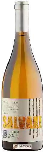 Domaine Sebio - Salvaxe