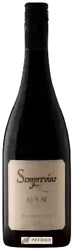 Winery Semprevino - G.S.M