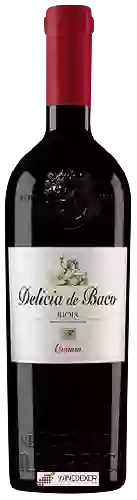 Domaine Señorio de Villarrica - Delicia de Baco Crianza