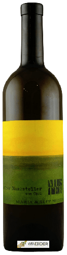 Winery Sepp & Maria Muster - Gelber Muskateller vom Opok