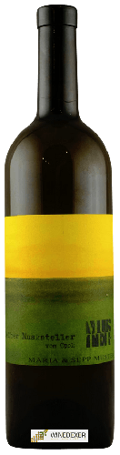 Winery Sepp & Maria Muster - Gelber Muskateller vom Opok Winery Sepp & Maria Muster - Gelber Muskateller vom Opok
